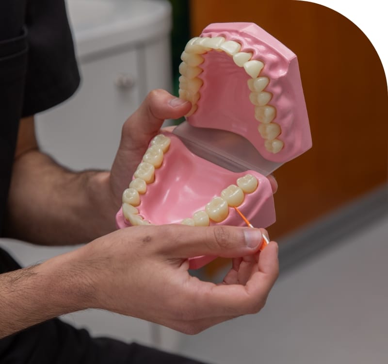 Hygienist Services